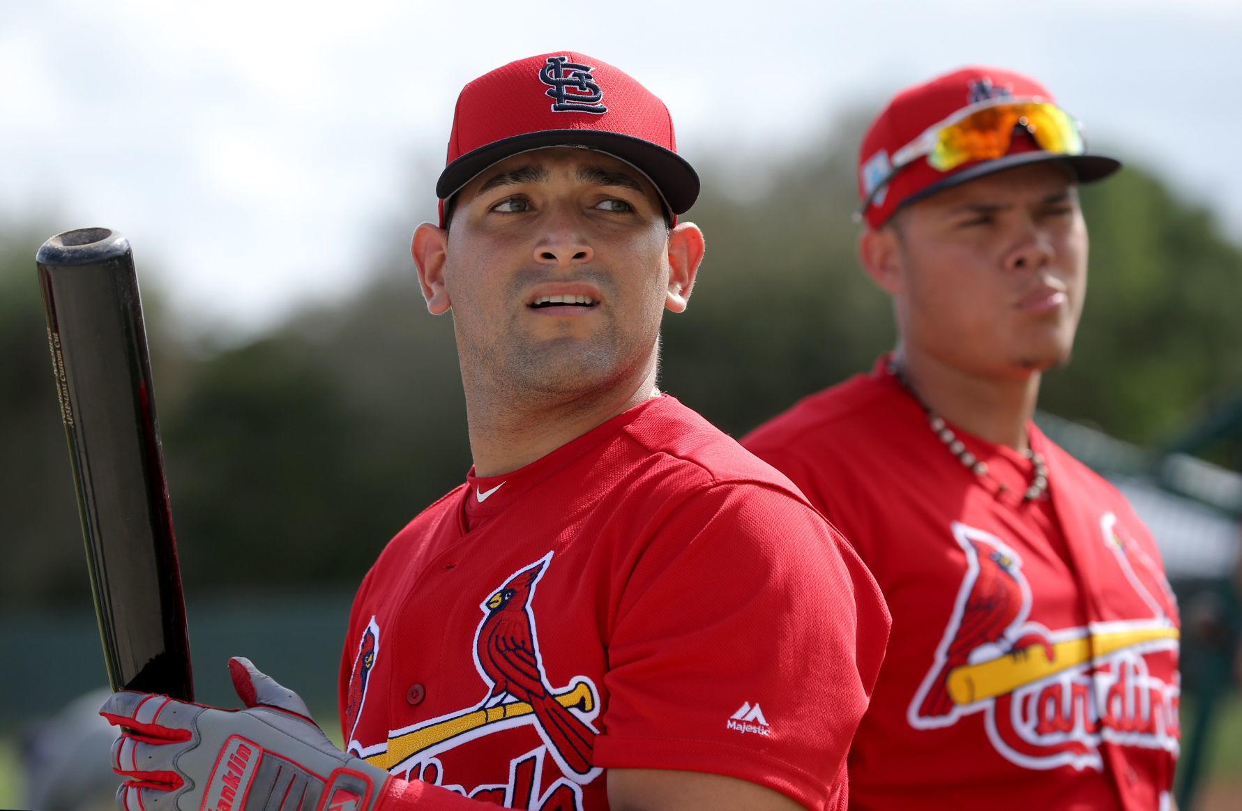 Cardinals spring training continues